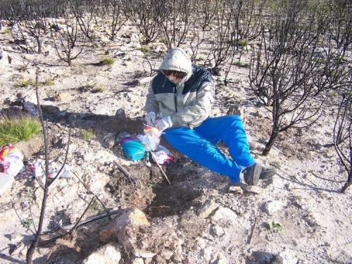 Riana busy removing a pocket of quartz crystals.  The white is not snow but quartz. (Author: Pierre Joubert)
