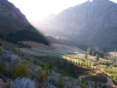 Quartz environment, Villiersdorp (Author: Pierre Joubert)