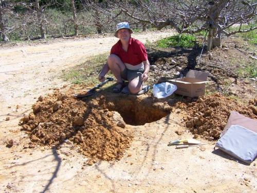 You want quartz, you have to dig.  Villiersdorp. (Author: Pierre Joubert)