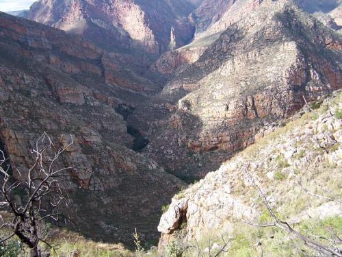 Way up in the mountains looking for quartz crystals.  Robertson, WC. (Author: Pierre Joubert)