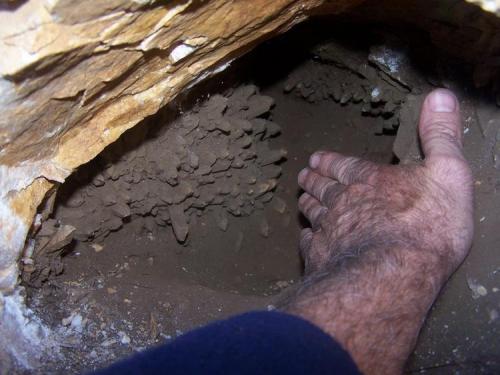 A stunning, large cluster of quartz crystals, waiting to be removed.  Robertson, WC. (Author: Pierre Joubert)