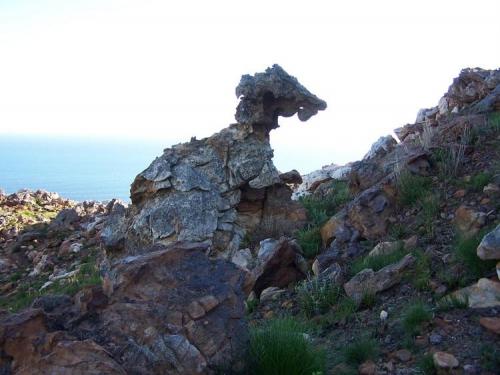 A real rock monster, consisting of manganese rich rock and sandstone. (Author: Pierre Joubert)