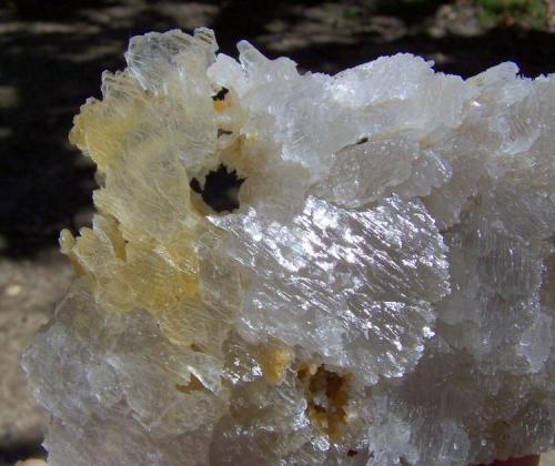 Gypsum
Ceres Karoo, Western Cape, South Africa
155 x 98 x 34 mm
The same specimen as above. (Author: Pierre Joubert)