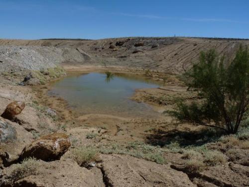 A second pool in the quarry, which is the result of some good rain. (Author: Pierre Joubert)