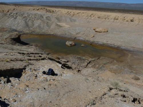 A natural pool (one of two) formed in the quarry after the rain. (Author: Pierre Joubert)