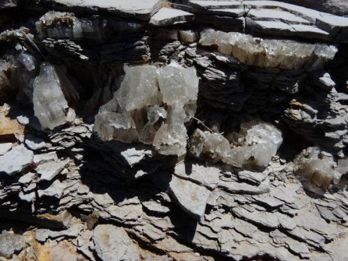Gypsum in-between  layers of shale (something very abundant in this area) (Author: Pierre Joubert)