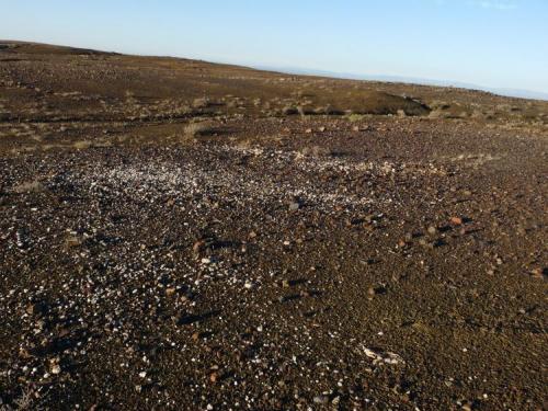 A quartz reef exposed and weathered. (Author: Pierre Joubert)