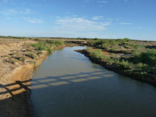 The semi-desert had some good rain. (Author: Pierre Joubert)