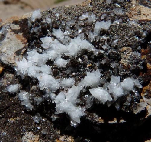 Calcite on shale
Western Cape, South Africa
65 x 47 mm (Author: Pierre Joubert)