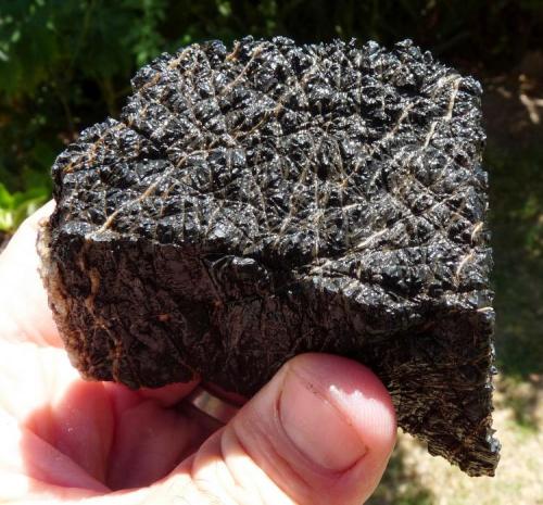 Basalt? with veins of quartz
Western Cape, South Africa
80 x 50 mm
Some areas of the Karoo have these rocks in abundance.  It looks like elephant skin. (Author: Pierre Joubert)