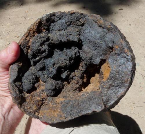 Iron bearing geode
Western Cape, South Africa
190 x 170 mm
I found a small gully with these strange ’geodes’.  I am not quiet sure what minerals are involved, although iron is almost surely one of them. (Author: Pierre Joubert)