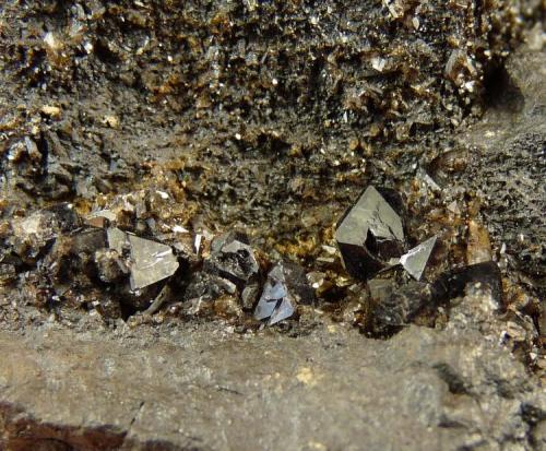 Unknown crystals
Western Cape, South Africa
Largest approx. 3mm long.
Same as above (Author: Pierre Joubert)