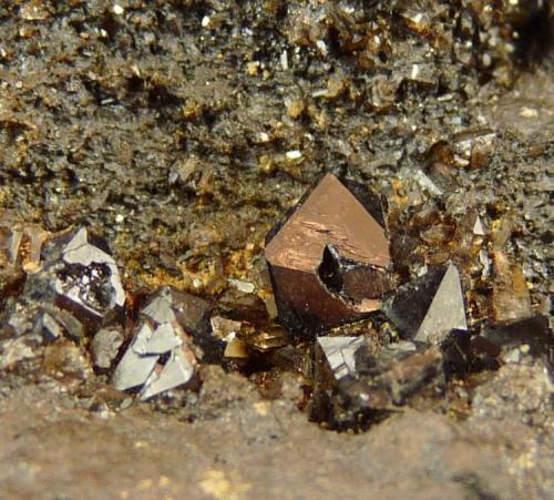 Unknown crystals
Western Cape, South Africa
Largest approx. 3mm long.
My knowledge of mineral specimens is very limited.  I will place some of these photos on ’what mineral is it?’ later on.  Maybe one of our experts can help identify these crystals. (Author: Pierre Joubert)