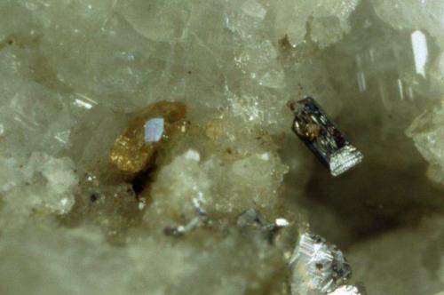 Aeschynite-(Y) Monazite-(Ce)
Hopffeldboden, Sbg, Austria
aeschynite 0.6 mm
Photo Enrico Bonacina
Collection Domenico Preite (Author: domenico)