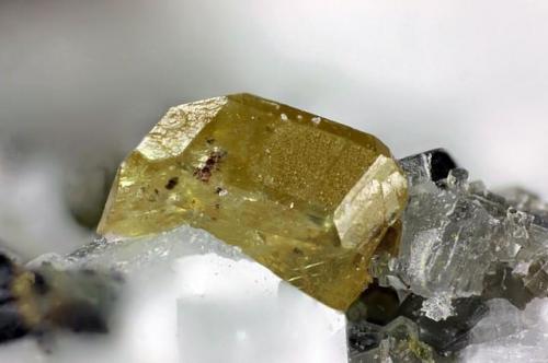 Monazite-(Ce)
Hopffeldboden, Sbg, Austria
0.98
Photo Matteo Chinellato
Collection Domenico Preite (Author: domenico)