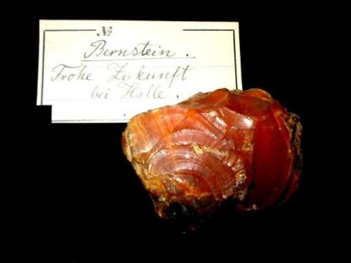 Amber
Frohe Zukunft coal mine, Halle, Saxony-Anhalt, Germany.
4 x 3 cm (Author: Andreas Gerstenberg)