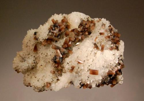 Pyromorphite
Pcheloyad Mine, Zvezdel, Kardzali Oblast, Bulgaria
6.1 x 9.0 cm.
Chocolate brown pyromorphite crystals scattered over a crystallized quartz matrix. (Author: crosstimber)