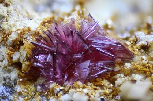 Eritrina.
Concesión La Cena del Depósito, Cerro Minado, Cuesta Alta, Huércal-Overa, Almería, Andalucía, España.
Campo de visión 3 mm. (Autor: Juan Miguel)