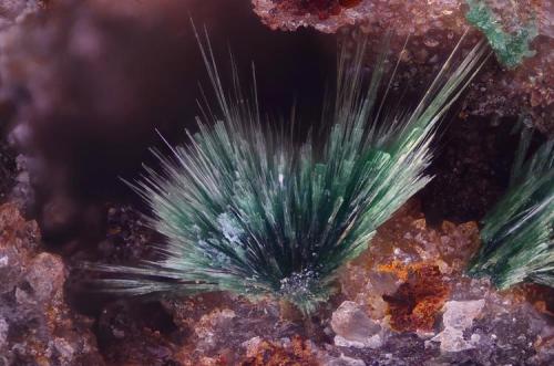 Malaquita.
Mina Sol, Cerro de los Guardias, Rodalquilar, Nijar, Almería, Andalucía, España.
Campo de visión 3 mm. (Autor: Juan Miguel)