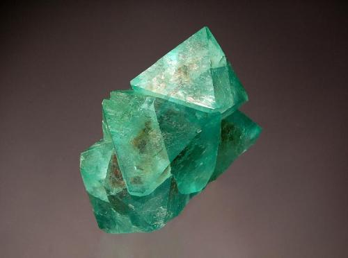 Fluorite
Riemvasmaak, Northern Cape Prov., South Africa
5.3 x 5.8 cm.
An intergrown group of sharply-formed green octahedral crystals to 3.2 cm. on edge from the find in 2005. (Author: crosstimber)