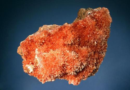 Inesite
N’Chwaning II Mine, Kuruman, N. Cape Prov., South Africa
7.2 x 9.6 cm.
Acicular salmon-colored inesite crystals to 3 mm arranged in radial clusters on a plate of vuggy brown matrix. (Author: crosstimber)