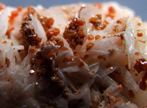 Vanadinite on Baryte.
ACF area, Mibladen, Midelt,  Morocco.
FOV 15 x 10 mm approx. (Author: nurbo)