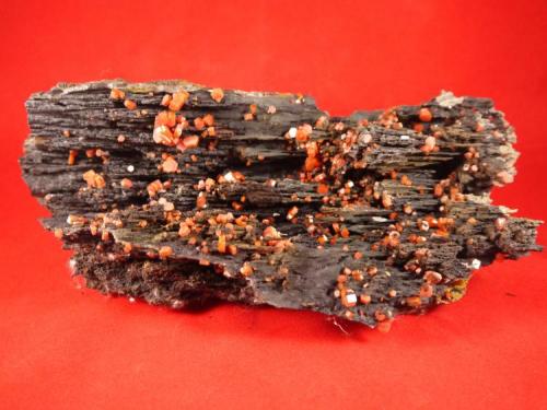 Vanadinite with manganese oxides
Taouz, Morocco
22 x 12 x 8 cm (Author: Don Lum)