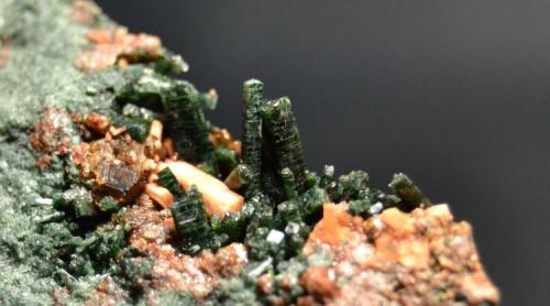 Uralita
Corta Carlés Este, Carlés, Salas, Asturias, España
cristales 18 x 4 mm. (Autor: Quexigal)