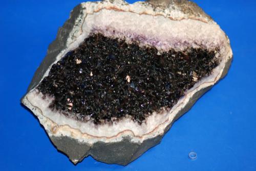 Quartz (smoky)
Prospect Park, New Jersey, USA
30 cm across
This specimen was collected by Gene Vitali pre-1950 I believe; he called it "blueberry pie". (Author: John Medici)