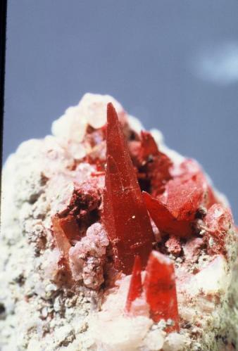 Calcite
Snake Hill (Laurel Hill), New Jersey, USA
Calcite (hematite-coated). Longest crystal 1.5 cm
Snake hill was an isolated igneous hill in the meadowlands of northeastern NJ.  It was completely leveled by quarrying, but in the process many interesting minerals were found.  It is not far from an old clay pit in Moonachie where I have taken my family to collect clay concretions. (Author: John Medici)