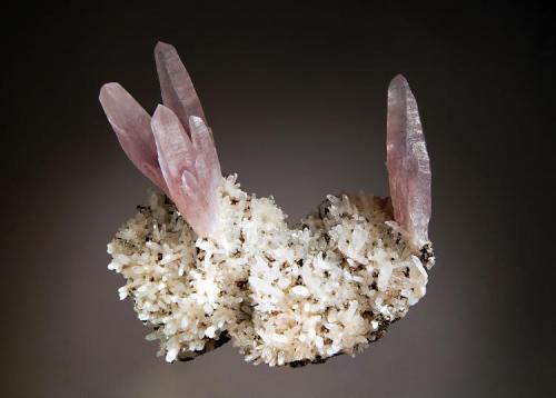 Quartz var. amethyst
Gheturi Mine, Turt, Satu Mare, Romania
9.0 x 9.0 cm.
Pale lilac amethyst crystals to 4.5 cm on a matrix of colorless quartz and pyrite. Mined in 2000. (Author: crosstimber)