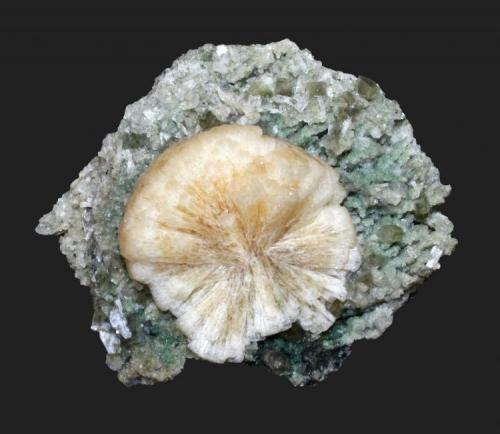Stilbite and heulandite
Trap Rock Industries Moores Station Quarry, Hopewell, Mercer County, New Jersey, USA
5.5 x 5.4 cm
A 3 cm stilbite wheel  with micro heulandite crystals (Author: Frank Imbriacco)