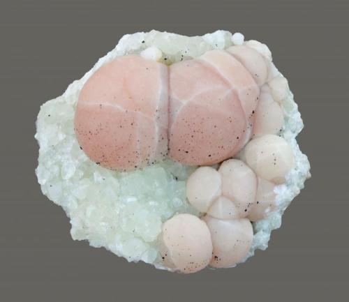 Pectolite and datolite
Millington Quarry, Bernards Township, Somerset County, New Jersey, USA
6 x 5 cm
Pink pectolite spheres on datolite peppered with micro hematite crystals (Author: Frank Imbriacco)