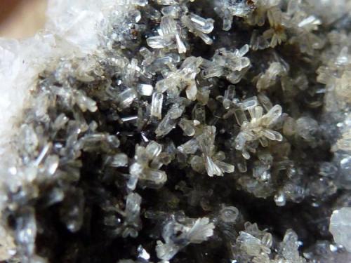 Hemimorfita y Calcita<br />Precaución Mine, Cabezo de San Ginés, El Estrecho de San Ginés, Cartagena, Comarca Campo de Cartagena, Region of Murcia (Murcia), Spain<br />15 x 10 cm.<br /> (Autor: javier ruiz martin)