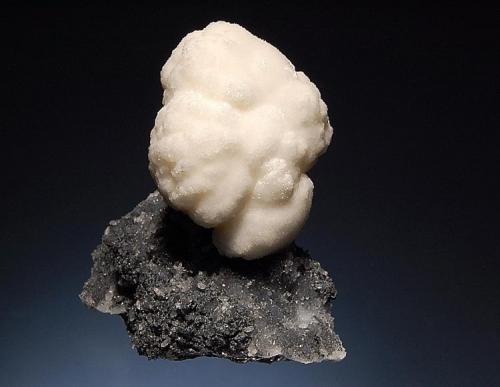 Calcite
Herja Mine, Baia Mare, Maramures Romania
5.5 x 6.5 cm.
Single creamy-white calcite on drusy quartz encrusting black sphalerite. From a unique pocket in the orebody mined in summer 2004. (Author: crosstimber)