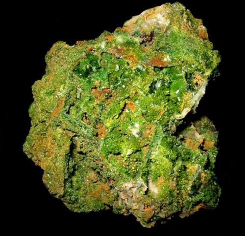 Pyromorphite
Sachsenerz adit, Beihilfe mine, Halsbrücke, Erzgebirge, Saxony, Germany.
9 x 8 cm (Author: Andreas Gerstenberg)