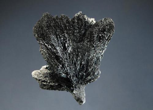 Berthierite
Herja Mine, Baia Mare, Maramures, Romania
6.0 x 6.1 cm.
Steel-grey, fibrous berthierite with a metallic luster and slight iridescent tarnish. Mined in 2000. (Author: crosstimber)