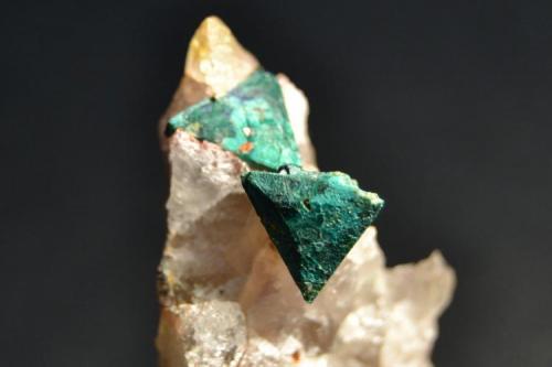Tetraedrita sobre Cuarzo
Mina Coriellu, San Cosme de Llerandi, Parres, Asturias, España
5 x 4 x 3 Cm.
Dos cristales de 15 mm. de arista (Autor: Quexigal)