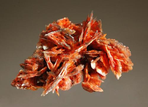 Barite
Baia Sprie, Maramures, Romania
3.7 x 5.4 cm.
Finely-bladed barite crystals included with realgar and jamesonite that impart a reddish-orange and gray coloration to the specimen. Mined in 2002. (Author: crosstimber)