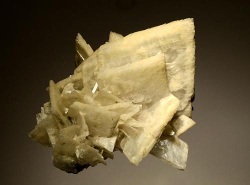 Barite
Baia Sprie, Maramures, Romania
7.2 x 8.6 cm.
Large creamy-white bladed crystals to 5.0 cm on edge with minor stibnite on the bottom of the specimen. (Author: crosstimber)