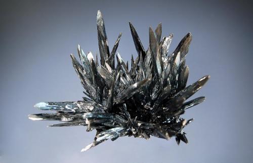 Stibnite
Baia Sprie, Maramures, Romania
5.7 x 6.2 cm.
Stibnite crystals with a sword-shaped habit. (Author: crosstimber)