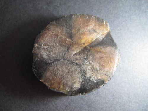 Quiastolita (variedad de andalucita)
Asturias, España
3’5 x 3’1 cm.
La típica macla cruzada con inclusiones carbonosas entre los cristales. (Autor: prcantos)