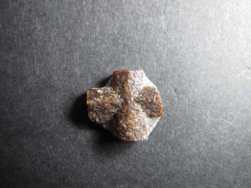 Estaurolita
Montes Keivy, Península Kola, Rusia
1’1 x 1 cm.
Una pequeña macla ortogonal con algunos restos de la matriz de micaesquisto de una localidad clásica. (Autor: prcantos)