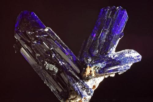 Azurite
Tsumeb, Namibia
2.5 cm largest  crystal (Author: Herman van Dennebroek)