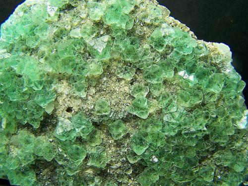 Fluorite
Berta Quarry - Papiol - Catalonia - Spain
7x5cm (Author: panchito28)