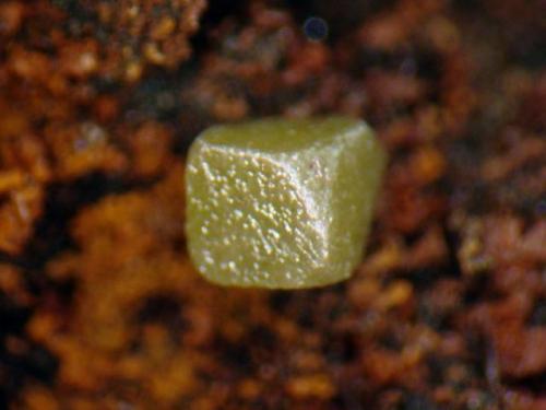Bromian Chlorargyrite ("Embolite")
Broken Hill, New South Wales, Australia
Photo width is 4mm (Author: crocoite)