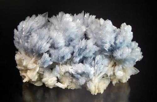 Barite
Cavnic, Maramures, Romania
5.1 x 8.7 cm.
Lustrous pale blue bladed barite crystals on light tan barite. (Author: crosstimber)