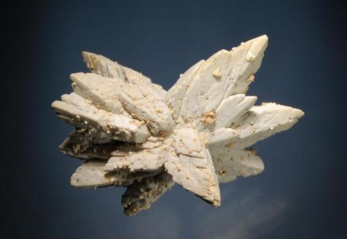 Calcite ps. gypsum
Cavnic, Maramures, Romania
3.4 x 6.2 cm.
A divergent group of gypsum crystals pseudomorphed by grayish white calcite. (Author: crosstimber)