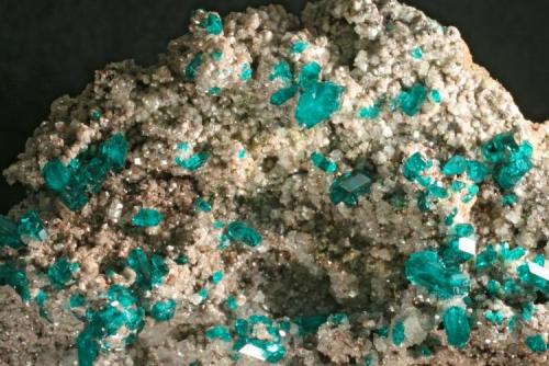 Dioptase on dolomite
Tsumeb, Namibia
f.o.v. 3 cm
small but very sharp crystals (Author: Herman van Dennebroek)