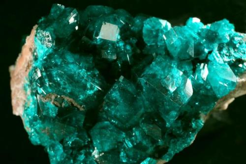 Dioptase
Tsumeb, Namibia
crytals up to 5 mm (Author: Herman van Dennebroek)